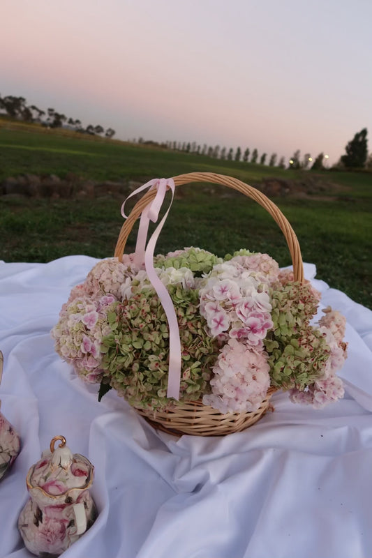 Hydrangea Basket